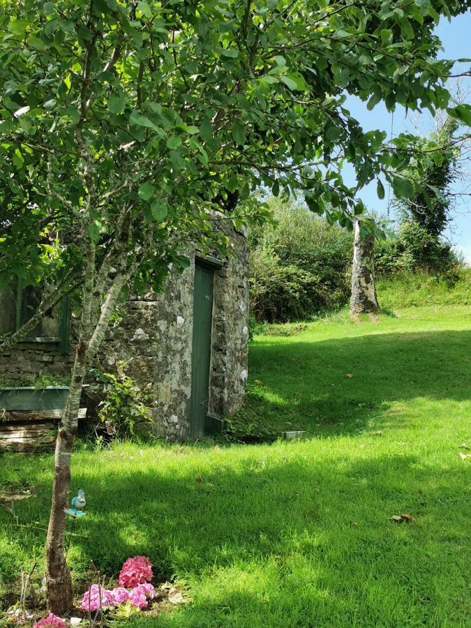 New Listing - Ladybird Cottage - Donegal - Wild Atlantic Way Donegal Town Exterior foto